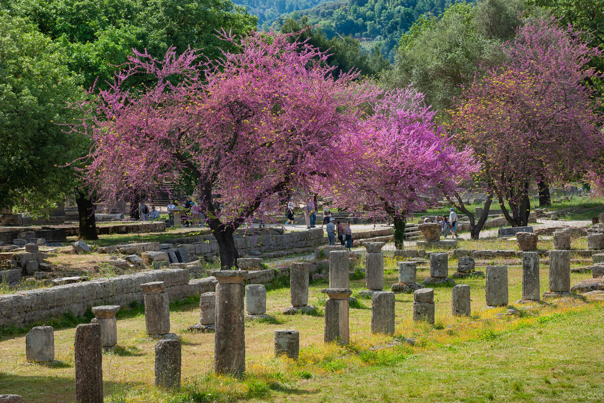 Aldemar Olympian Village Resort OLYMPIA 6 2