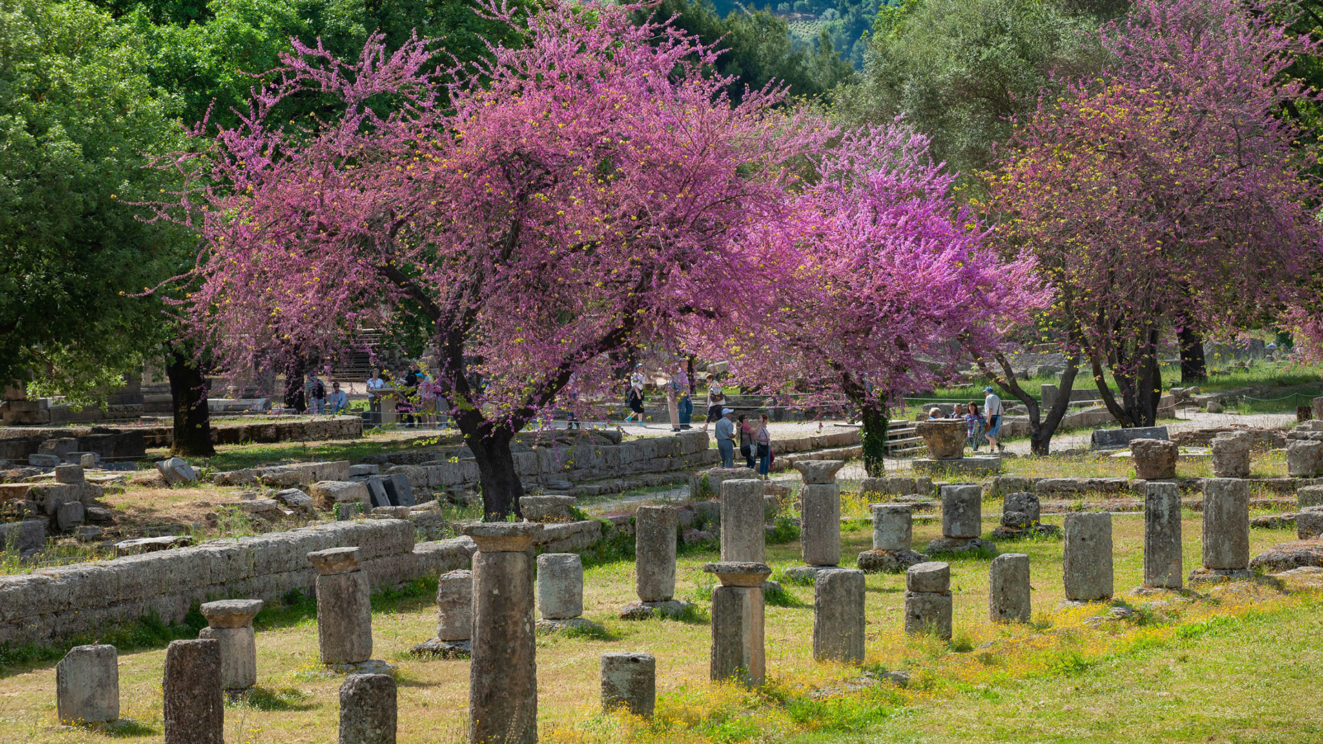 Aldemar Olympian Village Resort OLYMPIA 6 2